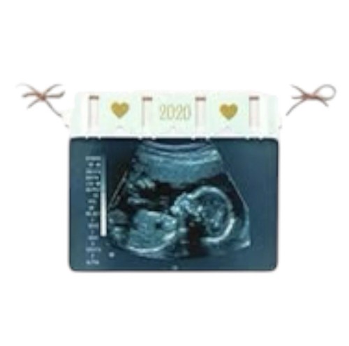 2020 hallmark ornament for - hallmark,
