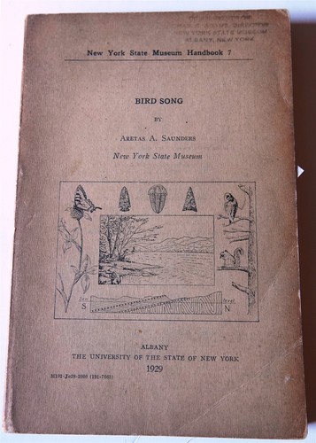 Bird songs aretas - bird,